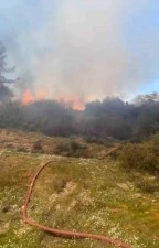 Çalılık yangınında 500 metrekare alan zarar gördü