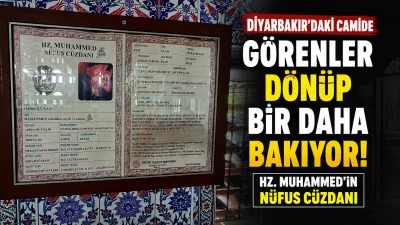 Camide G&ouml;ren D&ouml;n&uuml;p Bir Daha Bakıyor