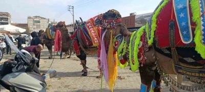 &Ccedil;an&rsquo;da havut giydirme hayrı d&uuml;zenlendi