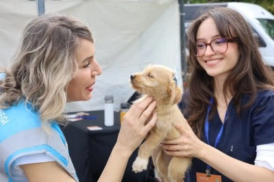 Dostlar yeni yuvalarına kavuştu