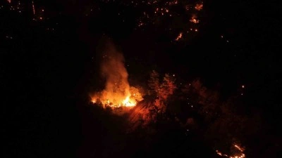 Orman yangını kontrol altına alındı