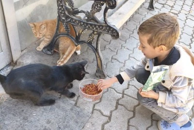 Çatak’ta Minik Yüreklerden Sokak Hayvanlarına Anlamlı Destek
