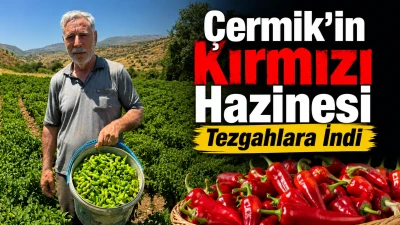 &Ccedil;ermik'in Kırmızı Hazinesi Tezgahlara İndi