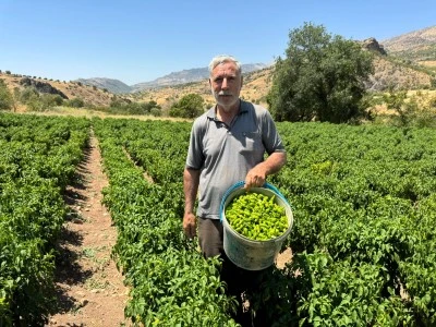 Çermik'in Tescilli Lezzeti Avrupa Yolcusu
