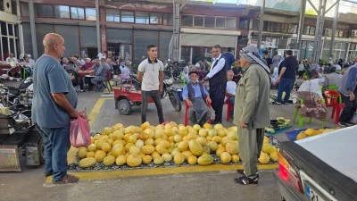 &Ccedil;ermik kavunu pazarda yerini aldı