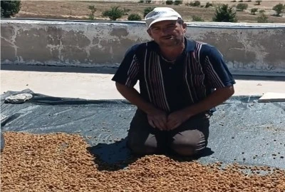 &Ccedil;ermik&rsquo;te Dut Mesaisi Bereketle Sonu&ccedil;landı