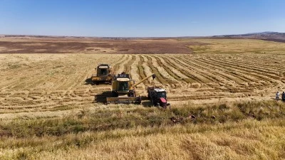 Çermik'te Karacadağ Pirincinde Rekor Hasat Beklentisi