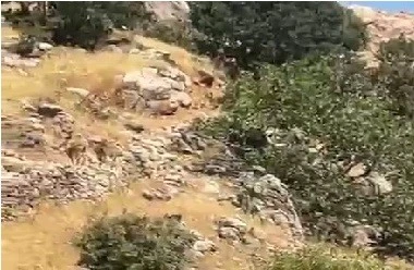 &Ccedil;ermik&rsquo;te yaban ke&ccedil;ileri s&uuml;rprizi