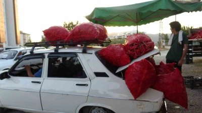 Çiftçilerin en zorlu acı mesaisi