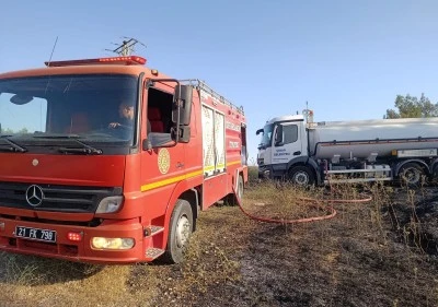 &Ccedil;ınar'daki Anız Yangınında Leylek Telef Oldu