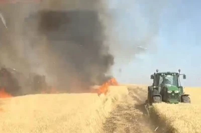 &Ccedil;ınar&rsquo;da Buğday Tarlası Yangını 30 D&ouml;n&uuml;m Ekin K&uuml;l Oldu
