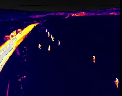 &Ccedil;ınar&rsquo;da Kayıp Kadın Termal Kamera ve Dronlarla Aranıyor