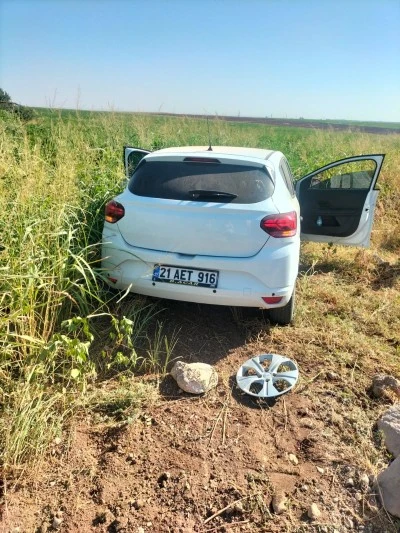 Çınar'da Otomobil Tarlaya Girdi