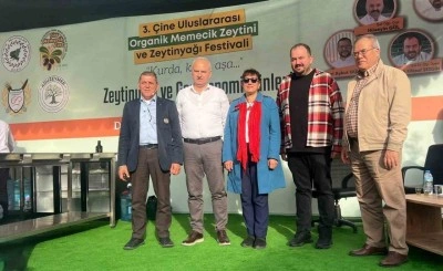 &Ccedil;ine Memecik Zeytini Festivali&rsquo;ne yoğun ilgi