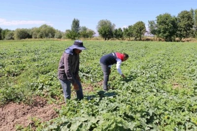 &Ccedil;KS başvuruları 31 Aralık&rsquo;ta sona eriyor