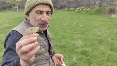 &Ccedil;&uuml;ng&uuml;ş Kırsalında Doğal Mantar Bereketi