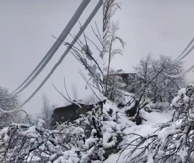 &Ccedil;&uuml;ng&uuml;ş&rsquo;te Yoğun Kar Hayatı Durdurdu: Elektrik Direkleri Devrildi