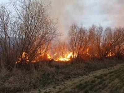 Darende’de iki farklı noktada bahçe yangını