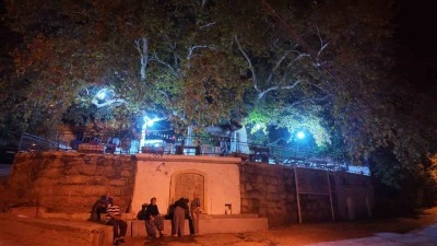 2 bin yıllık anıt çınarda odun ateşinde çay