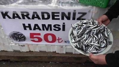 Denize kıyısı olmayan şehirde hamsinin kilosu 50 TL&rsquo;ye d&uuml;şt&uuml;, vatandaş poşet poşet aldı