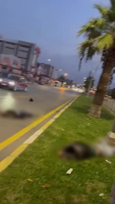 Denizli’de Feci Motosiklet Kazası: İki Kişi Hayatını Kaybetti