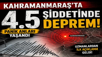 Deprem B&ouml;lgesi Sallandı