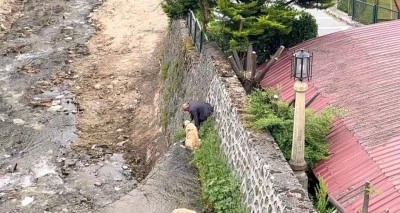 Kangal köpeklerini sahibi suya atlayıp kurtardı