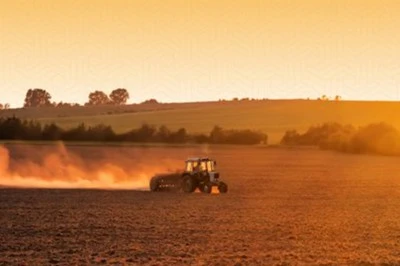 Destek ödemeleri bugün çiftçilerin hesaplarına aktarılıyor