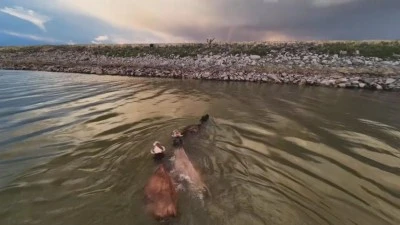 Devegeçidi Barajında renkli görüntüler