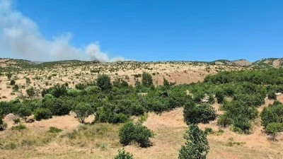 Dicle&rsquo;de Ağa&ccedil;lık Alanda Yangın Alarmı