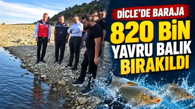Dicle&rsquo;de baraj g&ouml;letine 820 bin yavru balık bırakıldı