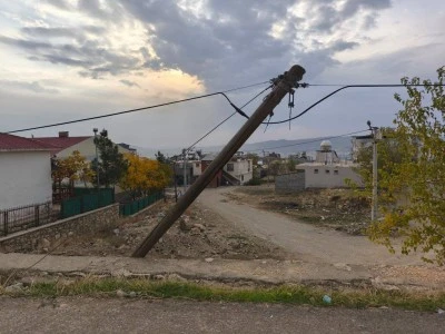 Dicle’de Eğik Ağaç Direk Tehlike Saçıyor