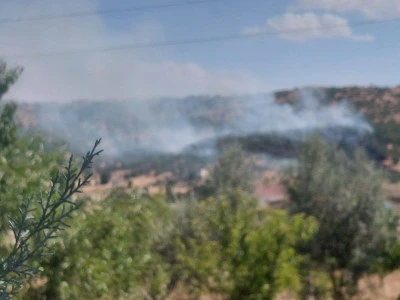 Dicle'de Kırsal Alanda &Ouml;rt&uuml; Yangını
