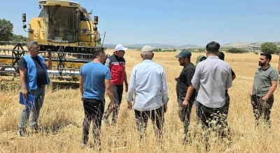 Dicle&rsquo;de mercimek &uuml;reticisine y&uuml;zde 75 hibe desteği