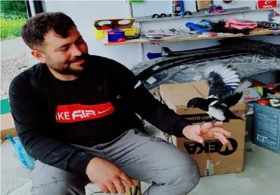 Dicle’de Tamircinin Büyüttüğü Karga, Aylardır Sonra Doğaya Döndü