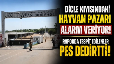 Dicle Nehri Kıyısındaki Hayvan Pazarı Alarm Veriyor