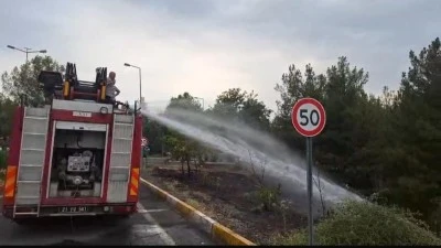 Dicle Üniversitesi Kampüsünde Korkutan Yangın: 20'ye Yakın Ağaç Zarar Gördü