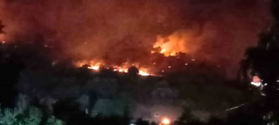 Dikili’de orman yangını