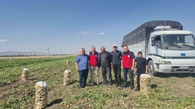 Dinar&rsquo;da patates hasadı başladı