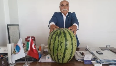 Diyarbakır'a rakip oldular