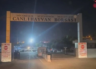 Diyarbakır Canlı Hayvan Borsası Yeniden Açıldı