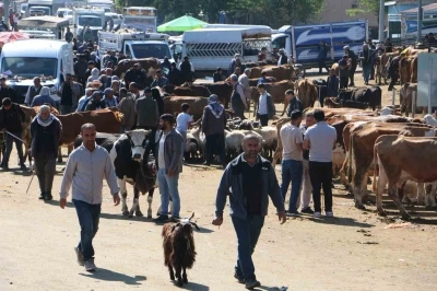 Canlı Hayvan Borsasında kurbanlık hareketliliği