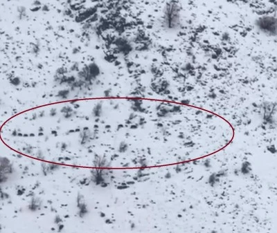 Diyarbakır 'ın O il&ccedil;esinde Yaban Domuzu S&uuml;r&uuml;s&uuml; G&ouml;r&uuml;nt&uuml;lendi