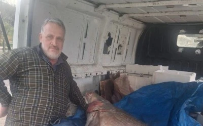 Diyarbakır'da 130 Kiloluk Dev Turna Balığı Yakalandı