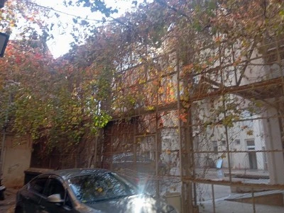 Diyarbakır’da 150 Yıllık Sarmaşık Sokak, Doğal Fotoğraf Platosu Haline Geldi