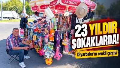 Diyarbakır&rsquo;da 23 yıllık &ccedil;er&ccedil;inin renkli mesaisi