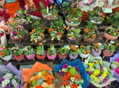 Diyarbakır’da 24 Kasım Öncesi Çiçekçilerde Yoğunluk