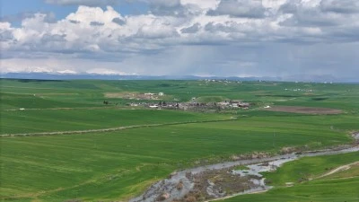 Diyarbakır&rsquo;da Buğday Tarlasına Sabotaj İddiası