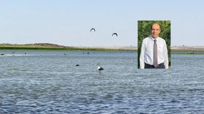 Diyarbakır’da 280 kuş türüne bir yenisi eklendi