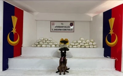 Diyarbakır'da 470 Kg Skunk Ele Geçirildi